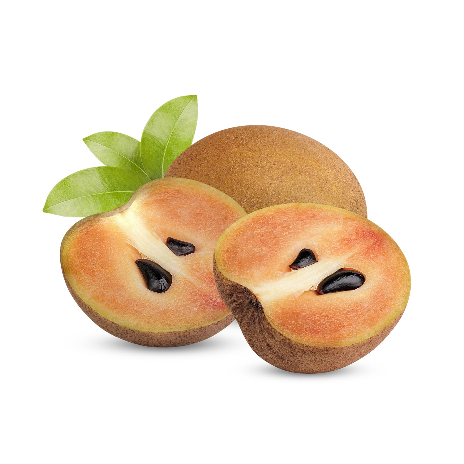 Sapodilla(Sopodilla)