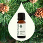 Scots Pine Essential Oil