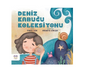 Deniz Kabuğu Koleksiyonu