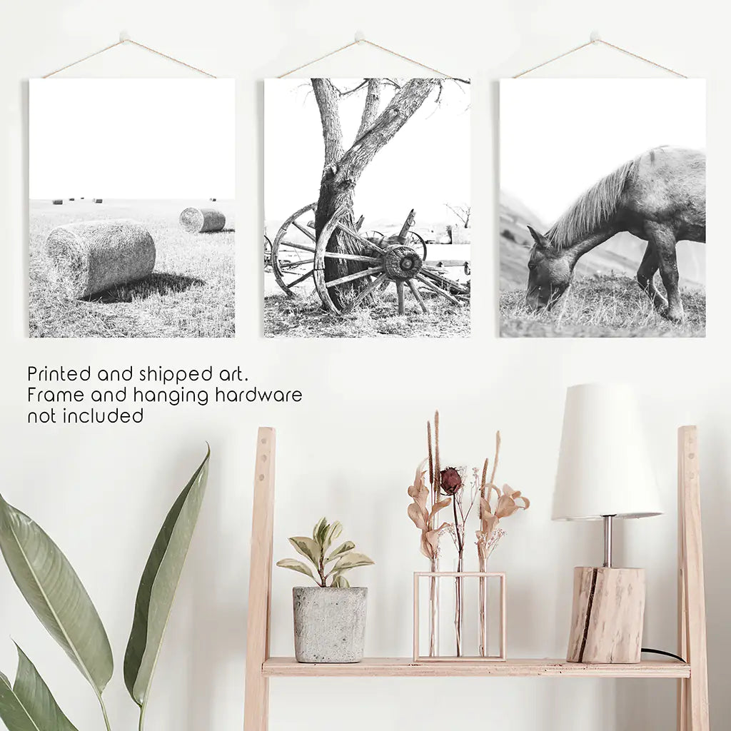 Siyah Beyaz Çiftlik Evi Duvar Dekoru. At, Saman Balyaları