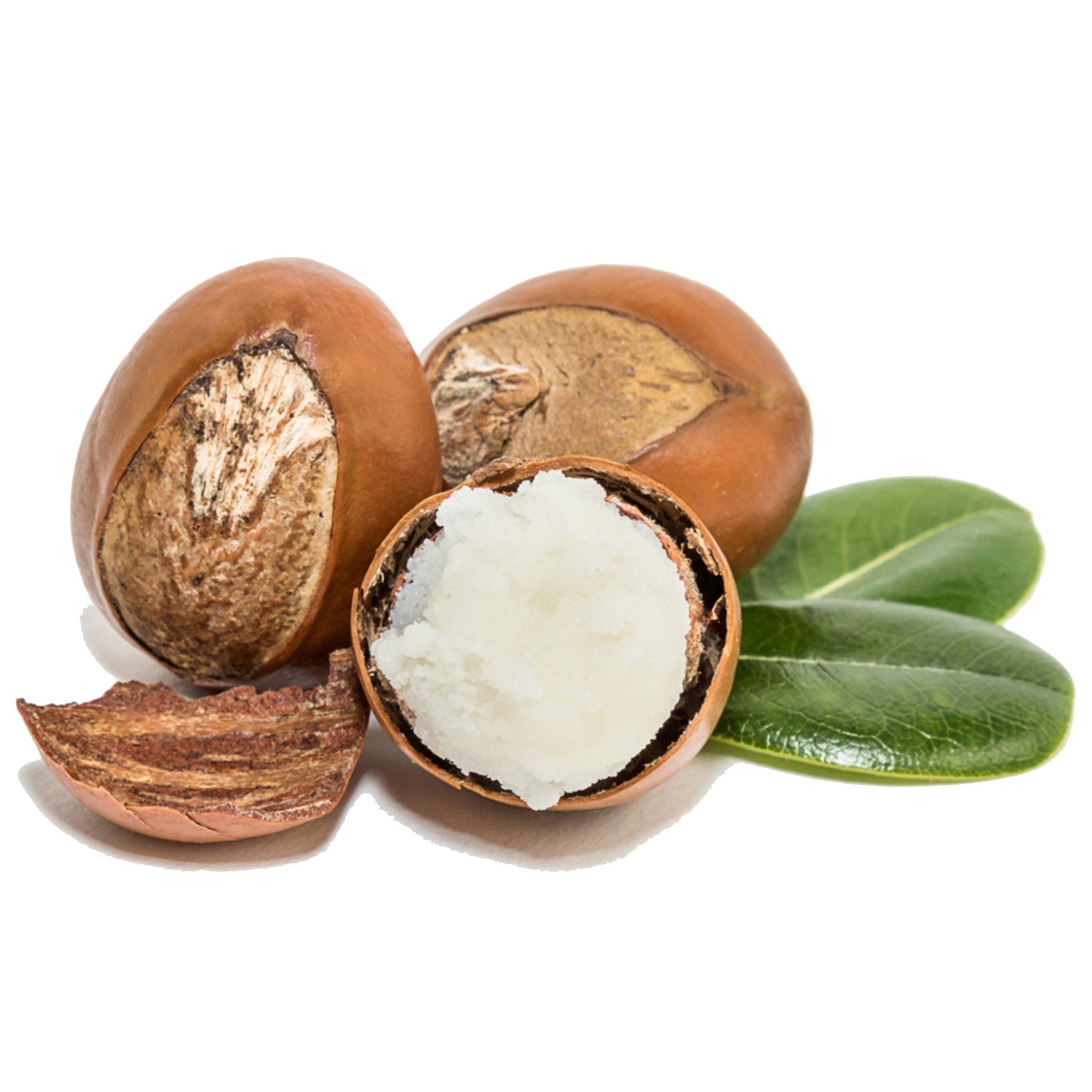 Shea Butter