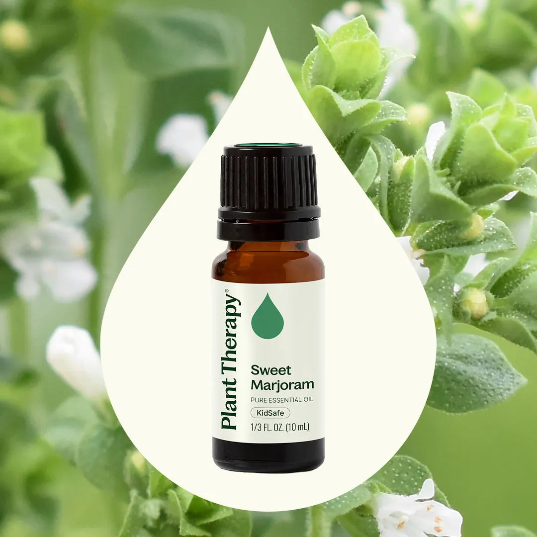 Sweet Marjoram Essential Oil