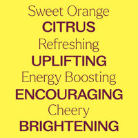 Sweet Orange Essential Oil