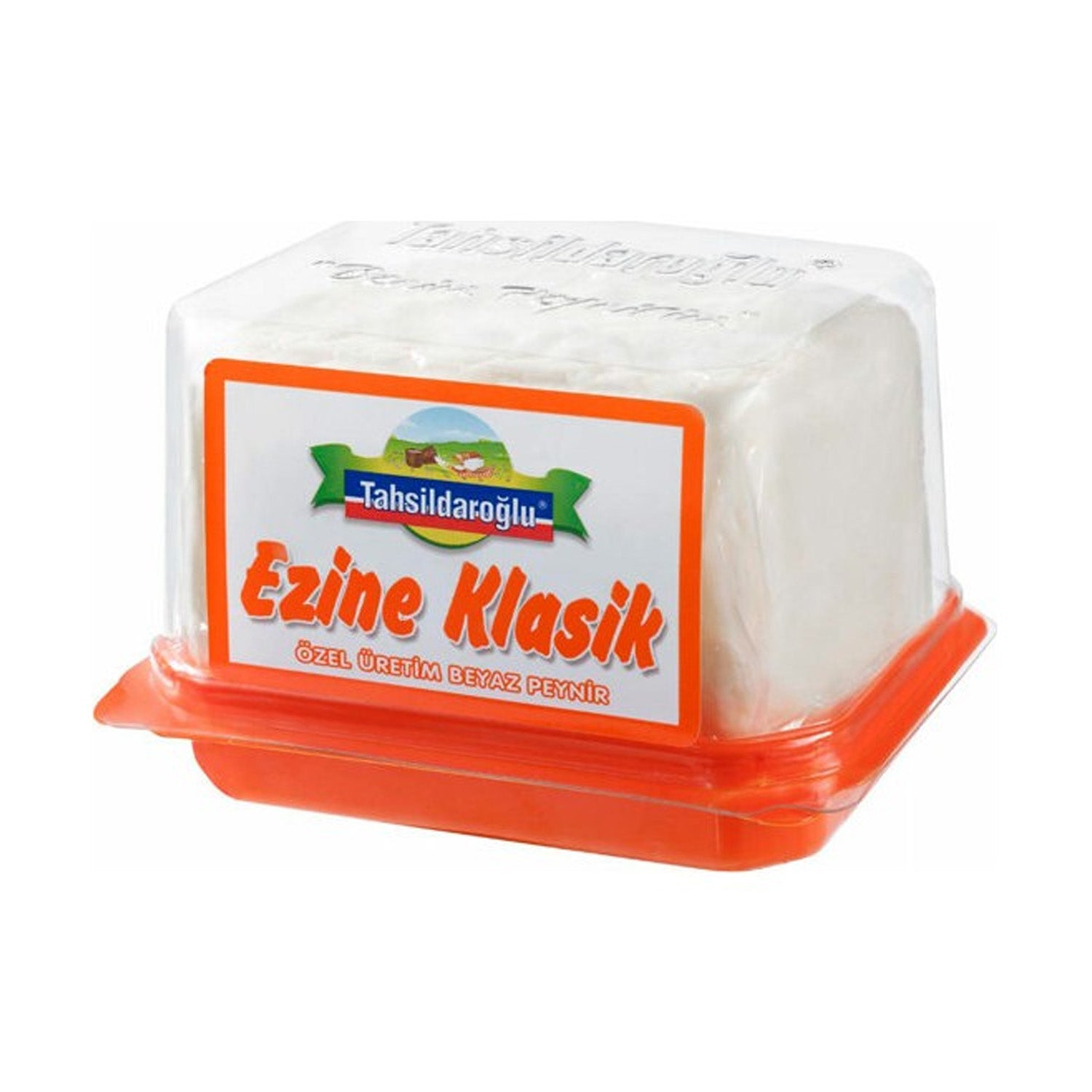 Tahsildaroglu Ezine Cow