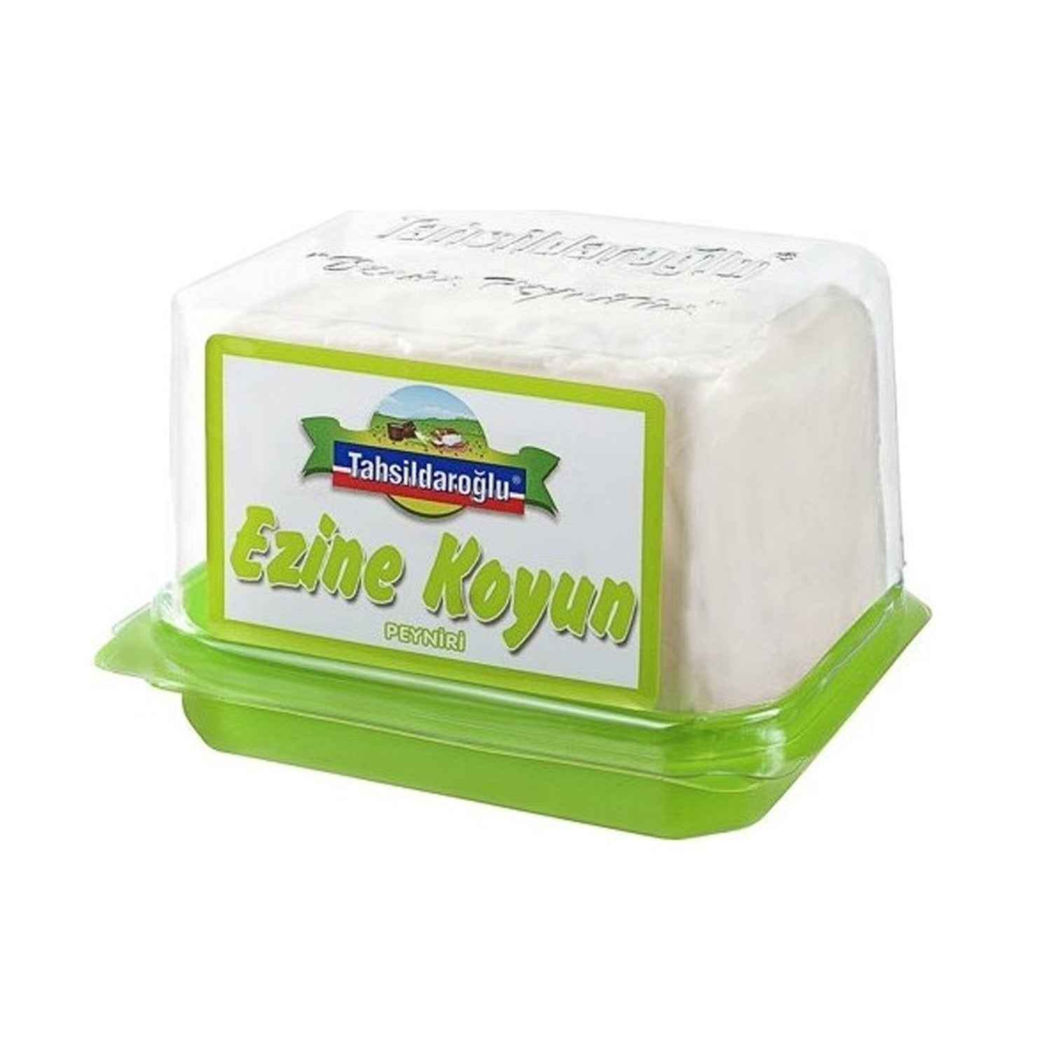 Tahsildaroglu Ezine Sheep