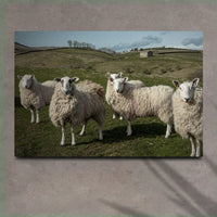 Flock Of Sheep Canvas Wall Art