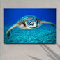 Green Sea Turtle Canvas Wall Art