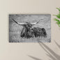 Black And White Longhorn Bull Canvas Wall Art