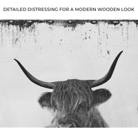 Highland Cattle Bath Canvas Wall Art II