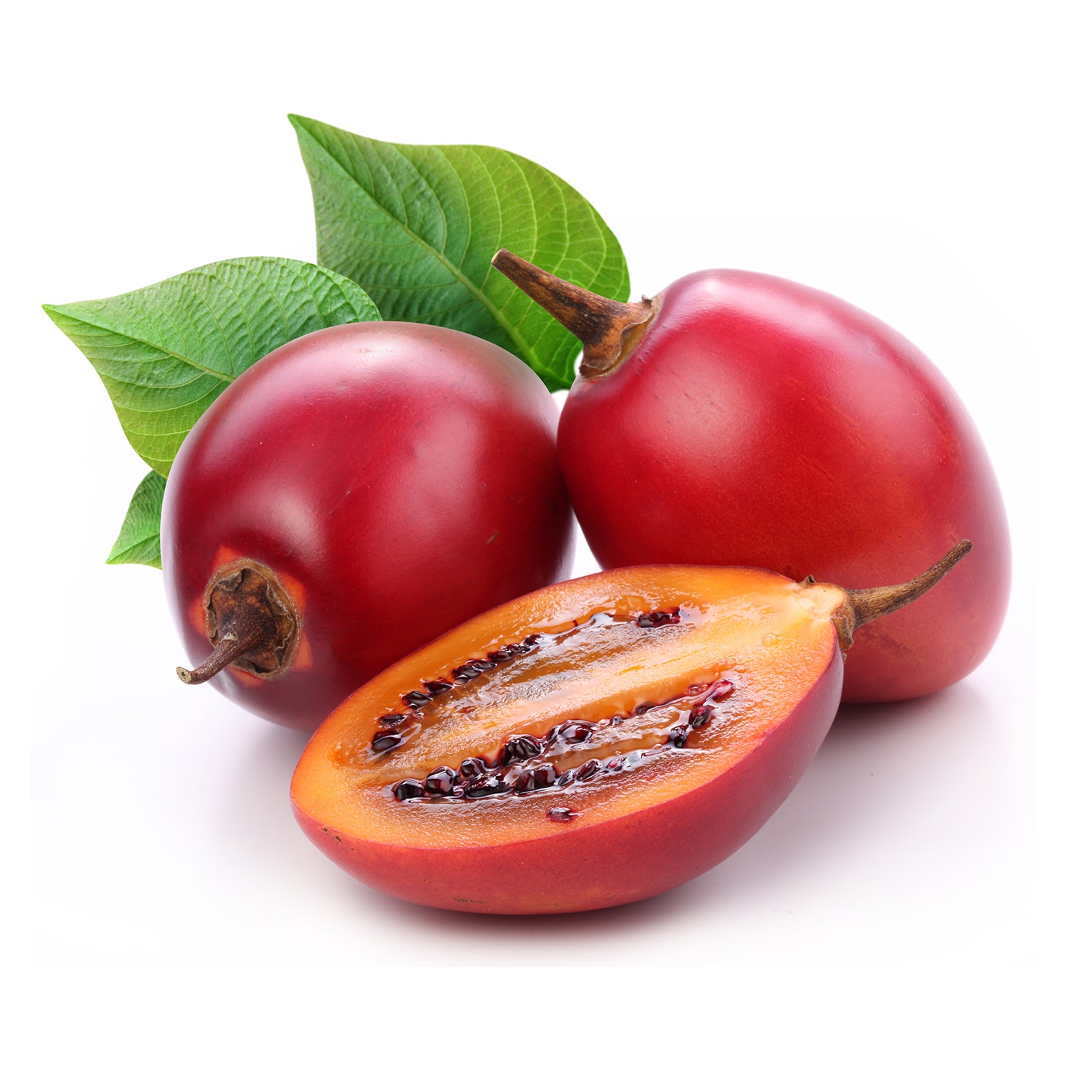 Tamarillo (Tree Tomato)