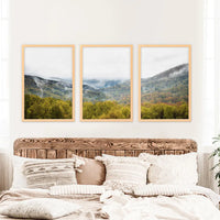 Foggy Mountains and Green Forest. Photo Triptych