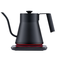 Baristan Gooseneck Kettle