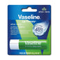 Vaseline Dudak Terapisi Aloe Vera Çubuğu 16Oz
