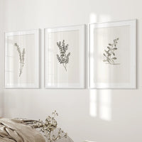 Vintage Floral 3 Piece Wall Art. Rustic Botanical Posters