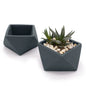 Concrete Mini Wedge Tabletop Planters (Set of 2)