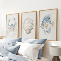 Watercolor Light Blue Nautical 3 Piece Art. Crab, Shell, Fish