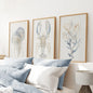 Ocean Animal Prints. Jellyfish, Lobster, Corals Wall Art