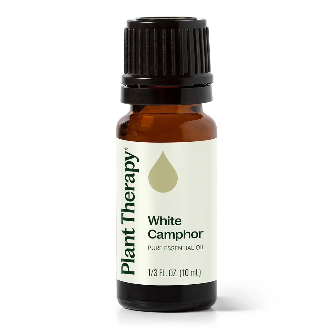 White Camphor Essential Oil