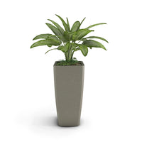 Quartet Large Planter