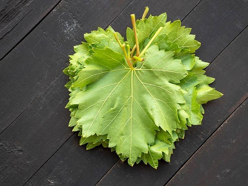 Fresh Grape Leaves - Taze Uzum Yapragi 1 Lb