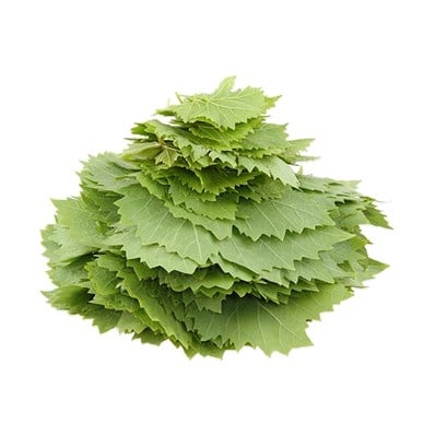 Fresh Grape Leaves - Taze Uzum Yapragi 1 Lb