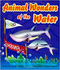 Animal Wonders of the Water