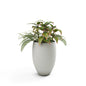Brandy Planter