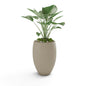 Brandy Planter