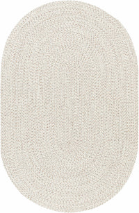 Beige Braided Faux Jute Rug