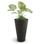 Cone Outdoor Planter