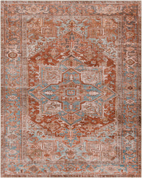 Darapidap Washable Area Rug - Clearance