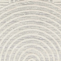 Dauin 3D Rainbow Area Rug with Tassels