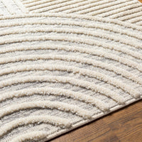 Dauin 3D Rainbow Area Rug with Tassels