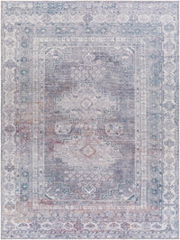 Baltinglass Gray Washable Area Rug - Limited Edition
