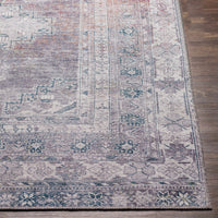 Baltinglass Gray Washable Area Rug - Limited Edition
