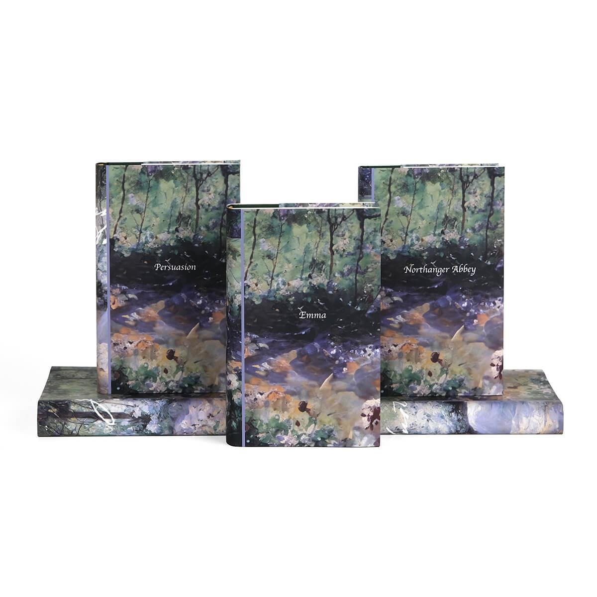 Jane Austen Delicious Solitude Book Set
