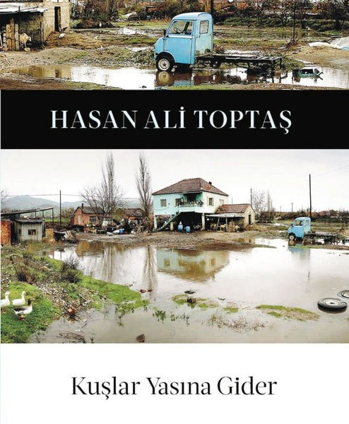Kuslar Yuvasina Gider