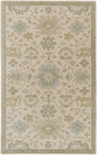 Hazen 1197 Hand Tufted Light Beige Wool Rug