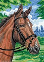 Horse Mini Colour Pencil By Number