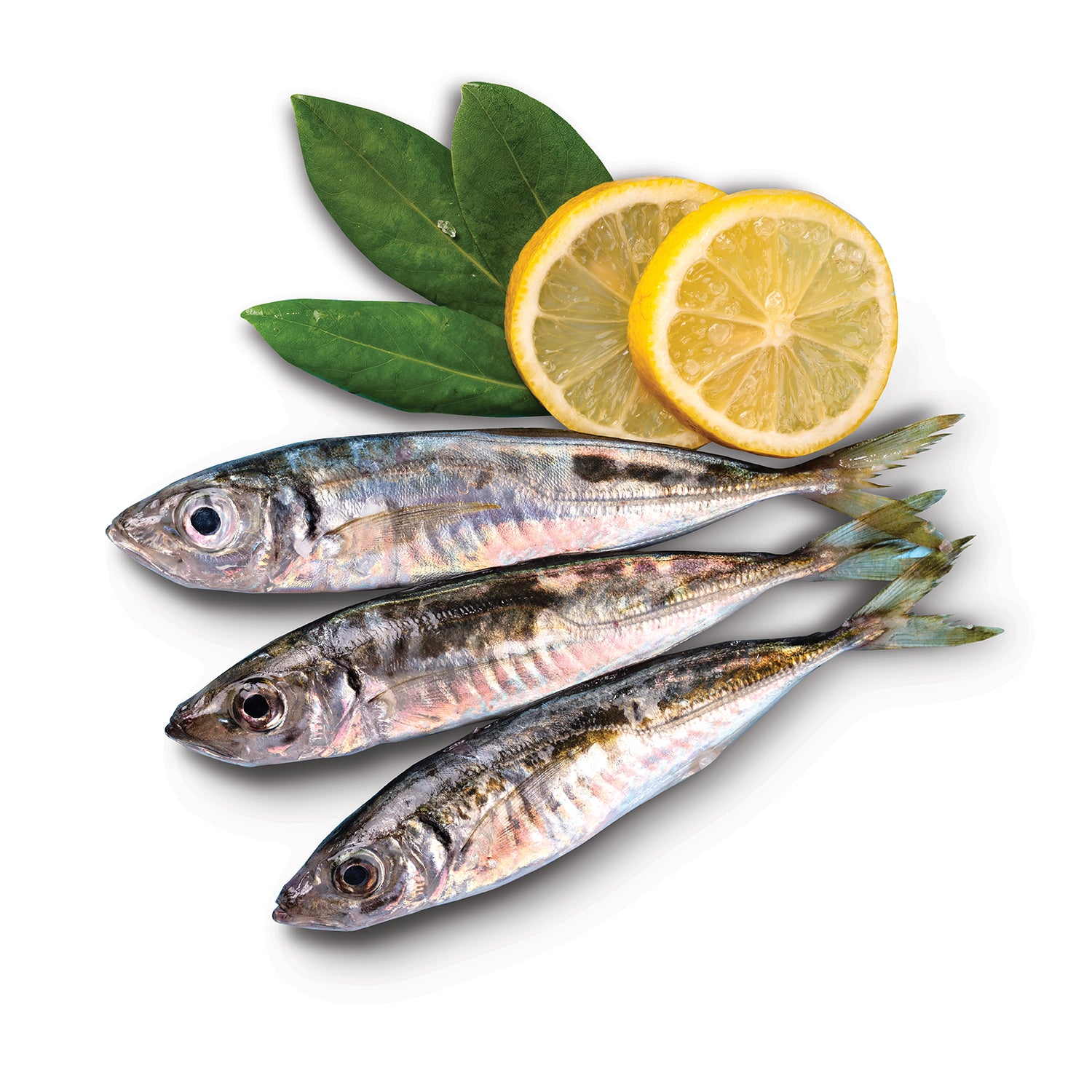 Moda Frozen Horse Mackarel (Temizlenmis Istavrit), Wild Caught, Gutted, 16oz (454g)