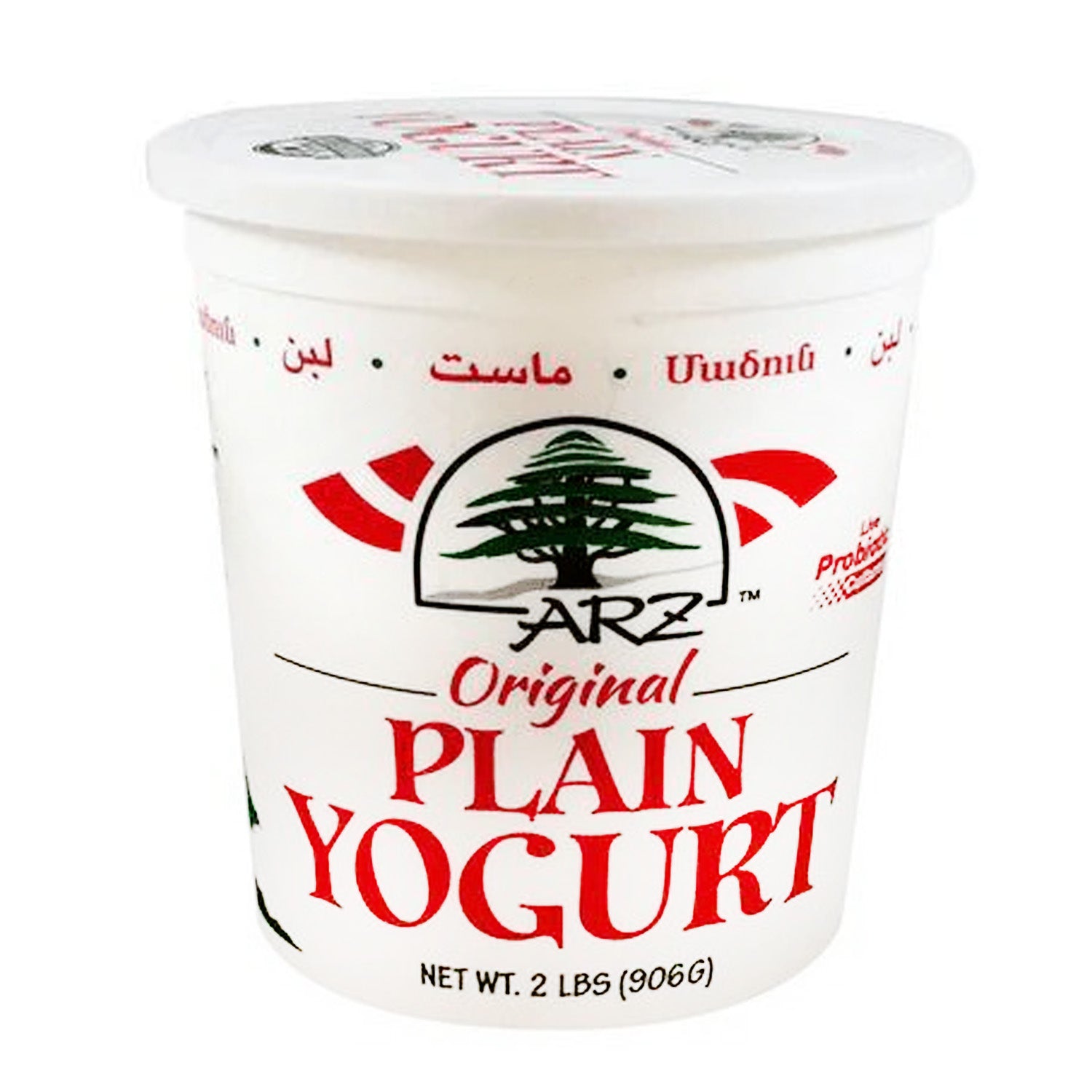 Arz Yogurt Plain 2Lb