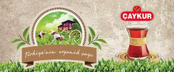 Caykur