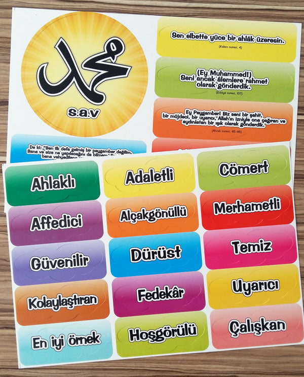 Peygamberimizin (s.a.v) Özellikleri Panosu