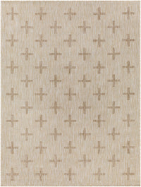 Limbo Beige Outdoor Area Rug