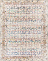 Maligaya Distressed Washable Rug - Clearance