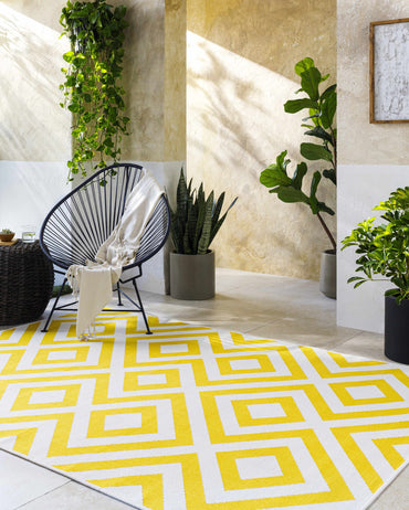 Maven Area Rug
