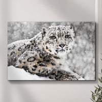 Snow Leopard In Blizzard Canvas Wall Art
