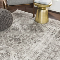 Nelsonville Area Rug