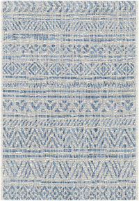 Novato All Over Pattern Performance Rug