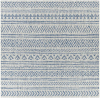 Novato All Over Pattern Performance Rug
